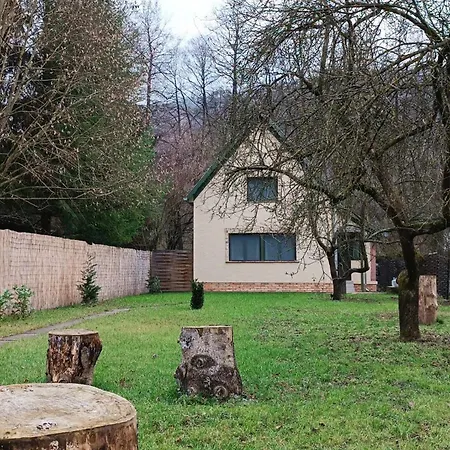 Kispatak Erdei Haz Holiday home *